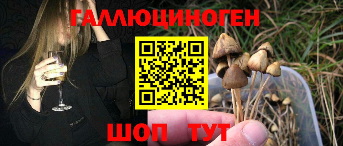 Псилоцибиновые грибы Magic Shrooms Сорочинск